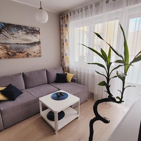 קולובז'ג Apartament Miodowy Dom מראה חיצוני תמונה